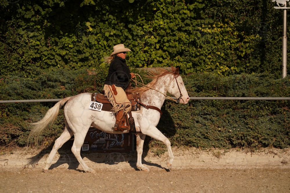 s_A_906703.JPG